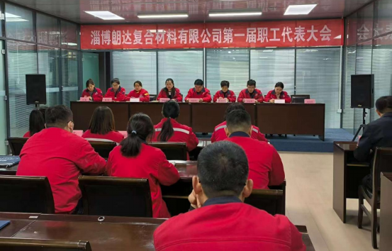 淄博朗达复合材料有限公司第一届职工代表大会胜利召开