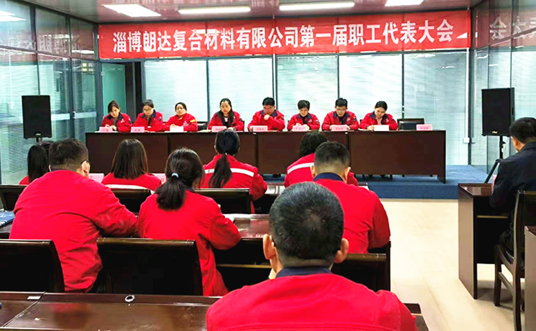 淄博朗达复合材料有限公司第一届职工代表大会胜利召开